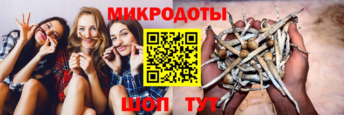 Галлюциногенные грибы Cubensis  Вход с VPN  Галлюциногенные грибы ЛСД  Кувандык 